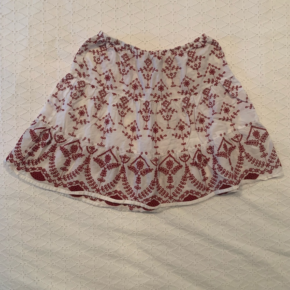 Embroidered Mini Skirt